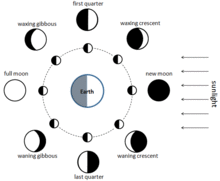 Diagram of all Moon phases